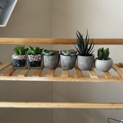 Small Fake Succulent Plants in Planters