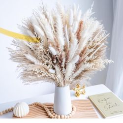 Wild Autumn Pampas Grass
