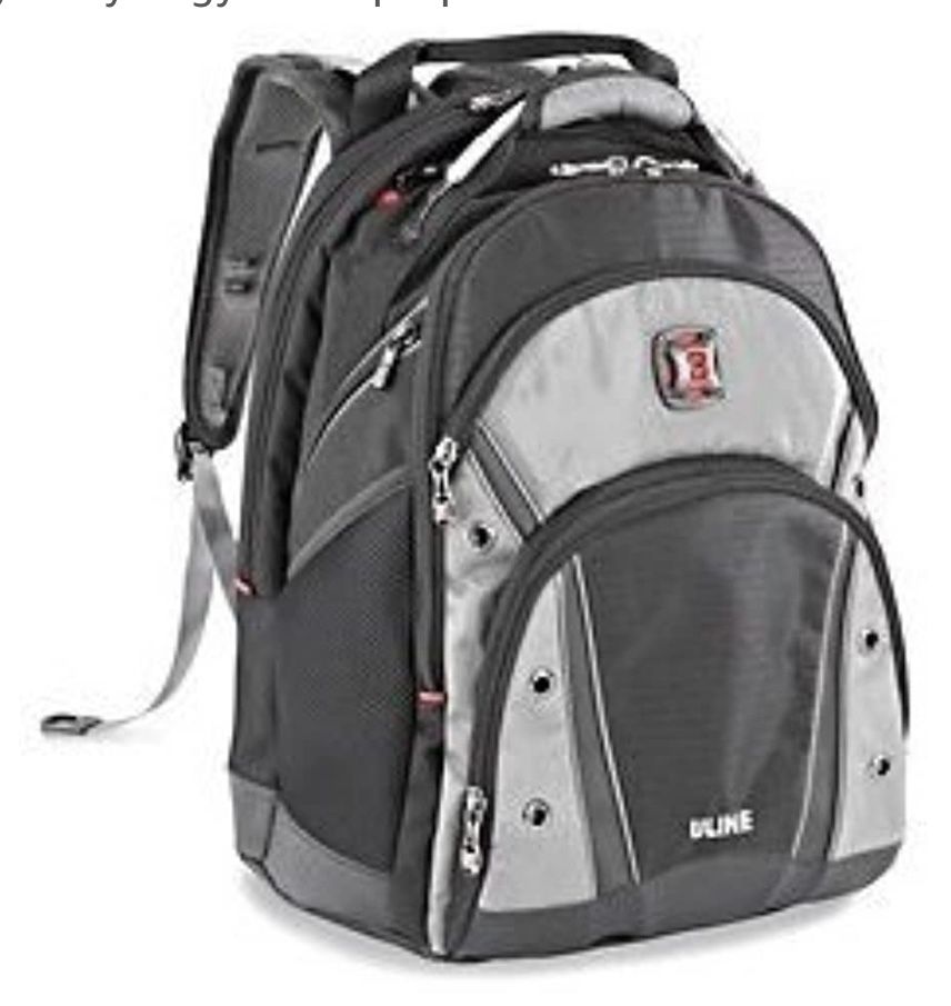 Swiss gear Synergy Pro Laptop Backpack