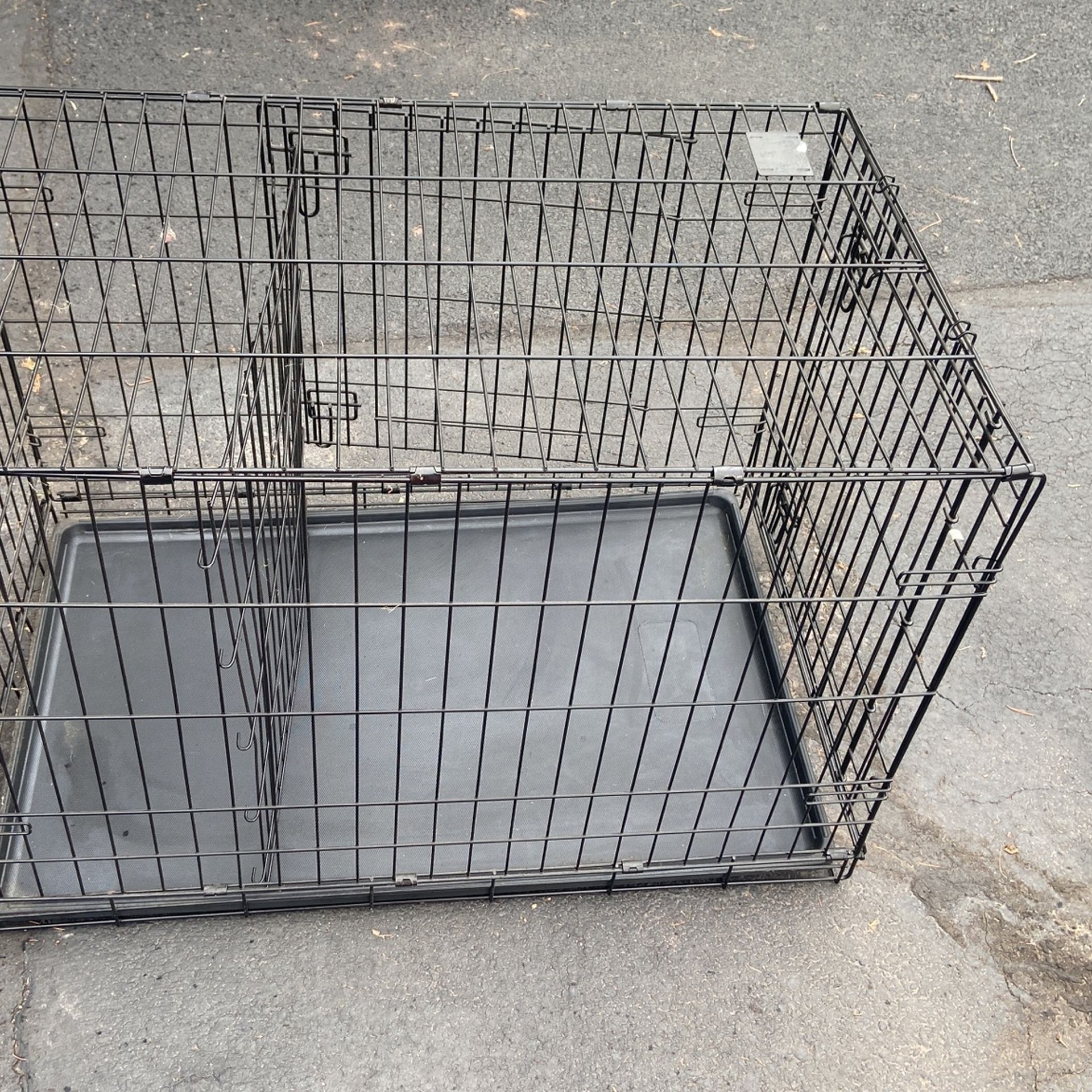 Dog Crate
