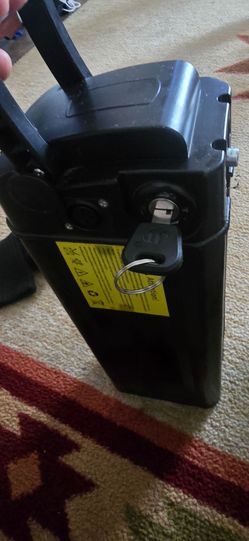 48v electric bike battery