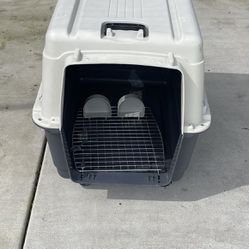 big dog crate