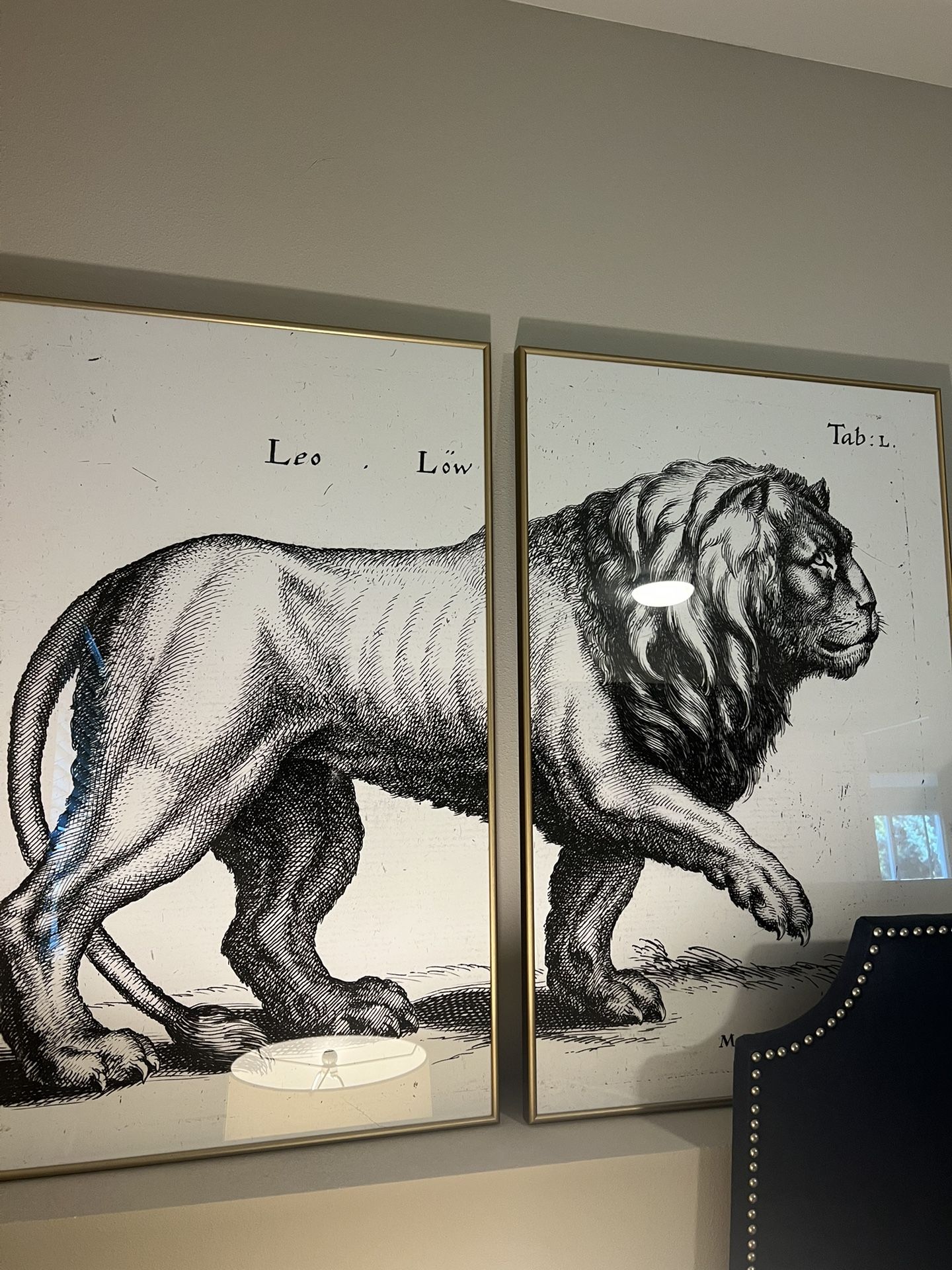 Large Art Pair - Lion