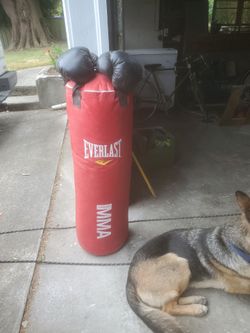 Punching bag and gloves