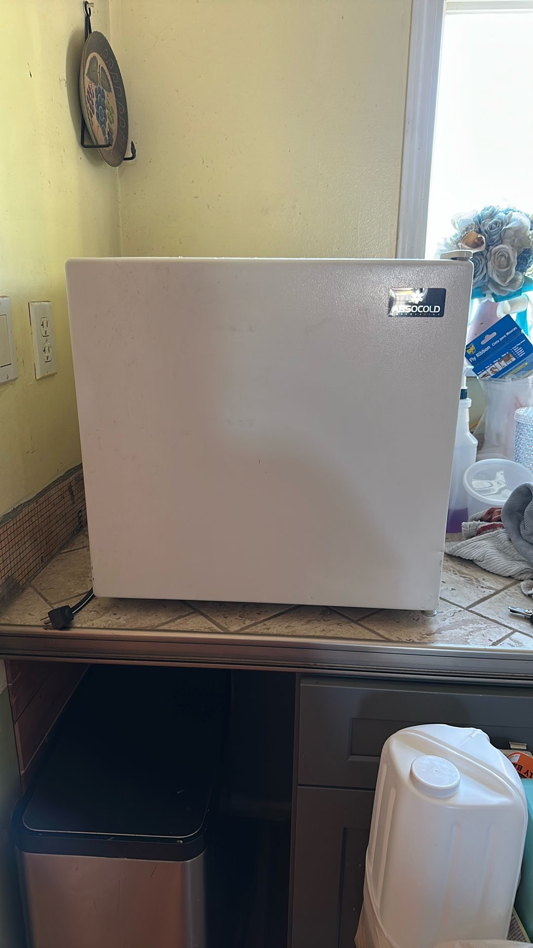 Mini Fridge 