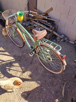Beach cruiser