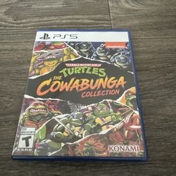 teenage mutant ninja turtles cowabunga collection 