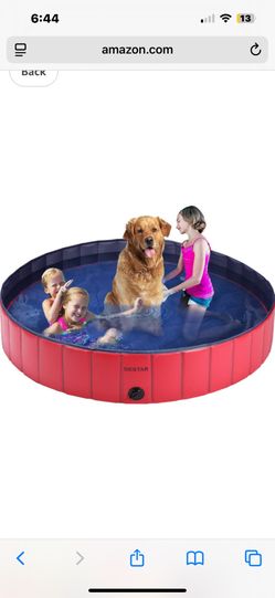 Swimming Pool For Pet