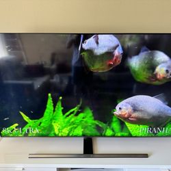 Samsung 65inch TV (Smart tv)