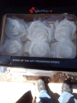 Preservedwhite roses.  Boxes of 6 $