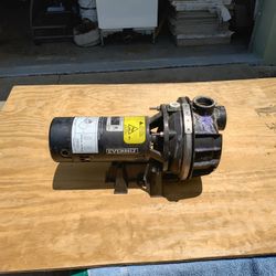 Great Everbilt 1hp Sprinkler Pump.  130v/230v. 3450 Rpm