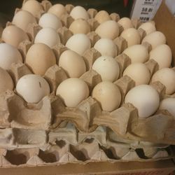 Eggs 30 For $10