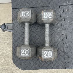 Dumbbells.           30 Dollars 