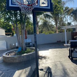 Lifetime Portable Basketball court 