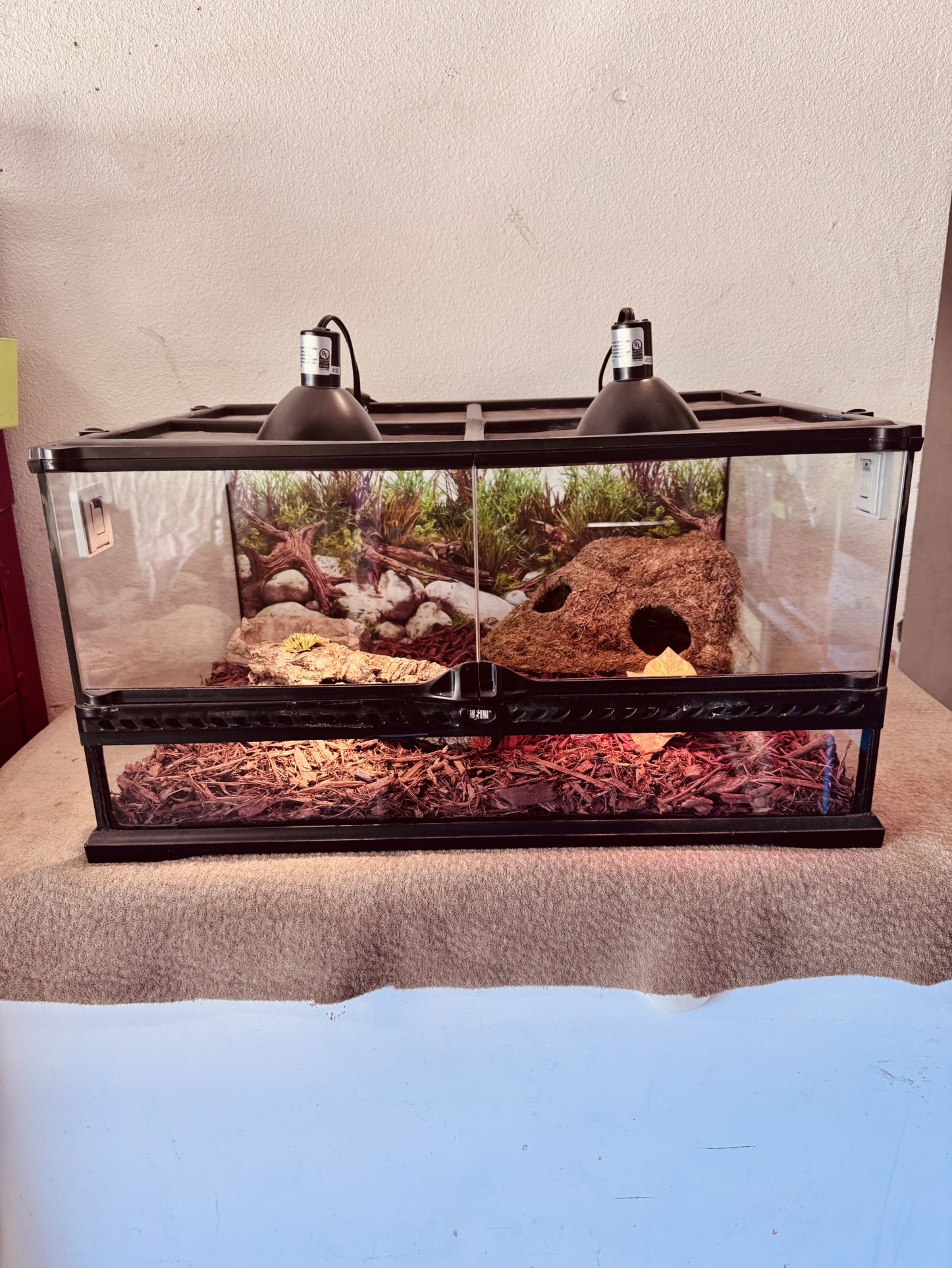 Terrarium 24x18x12 ( ExoTerra)