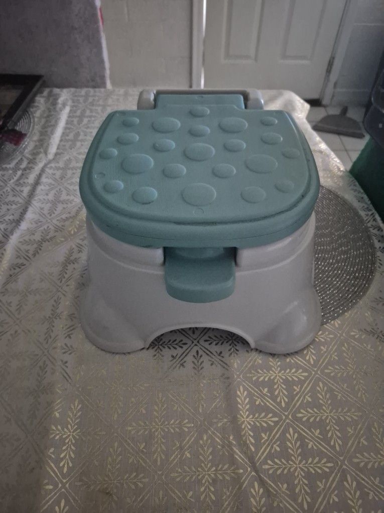 Toddler Toilet 