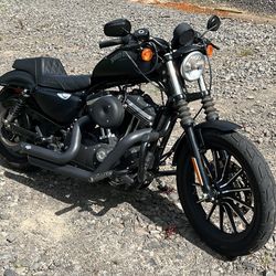 2015 Harley Davidson Iron 883