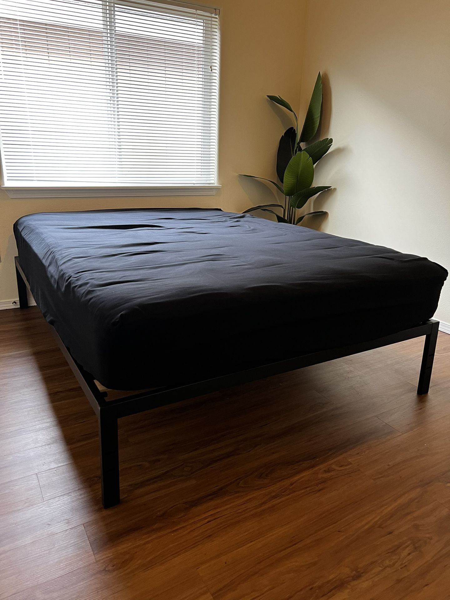Black Metal Bed Frame- Queen