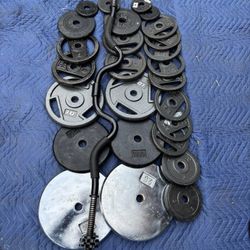 Weights And Curl Bar 