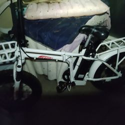 Fat Tire E Bike