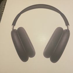 AirPod Max New Firm Price