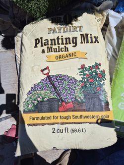 Mulch For Plants