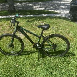 Schwinn Side Winder 21 Speed