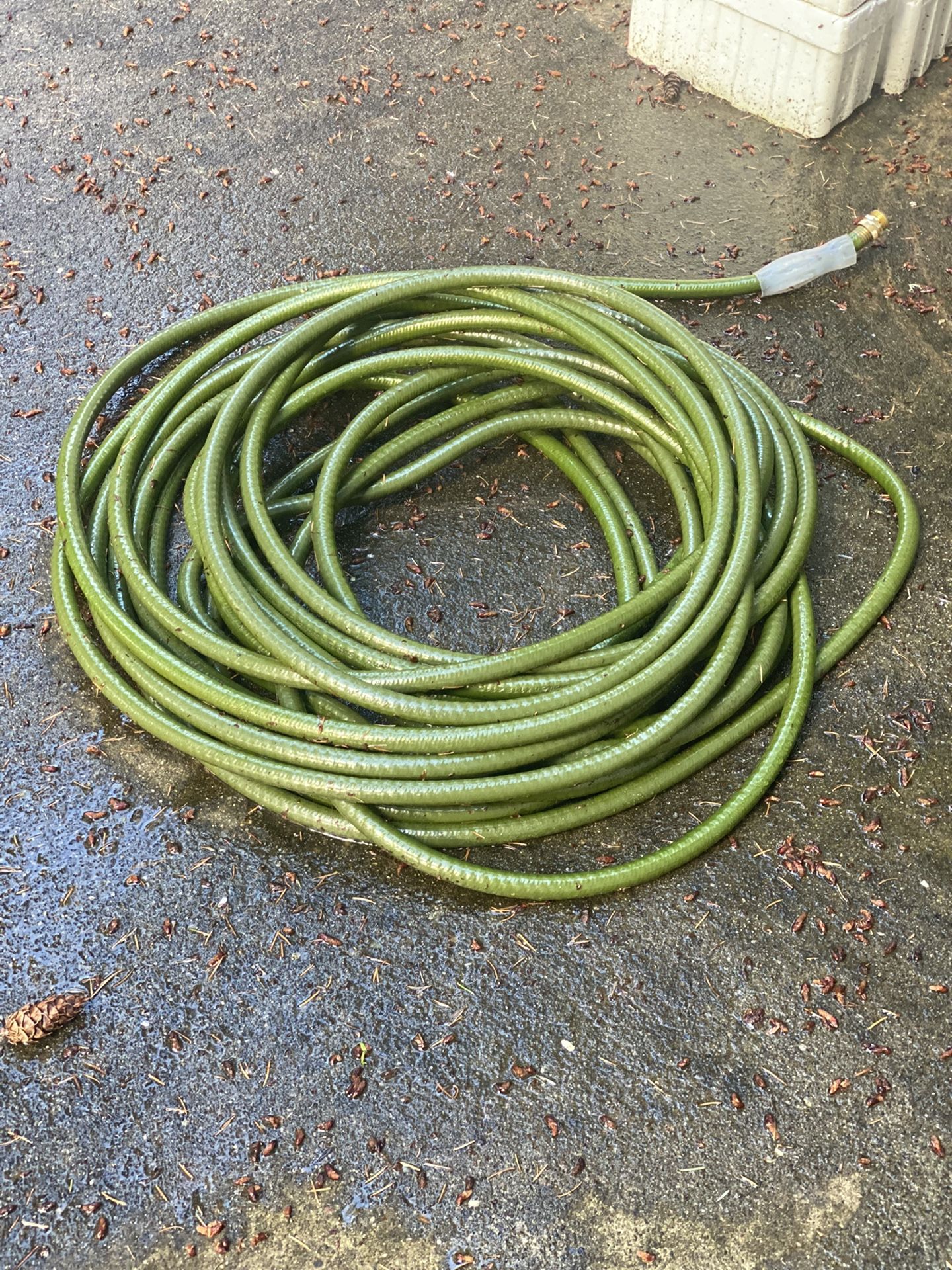 100ft like new garden hose