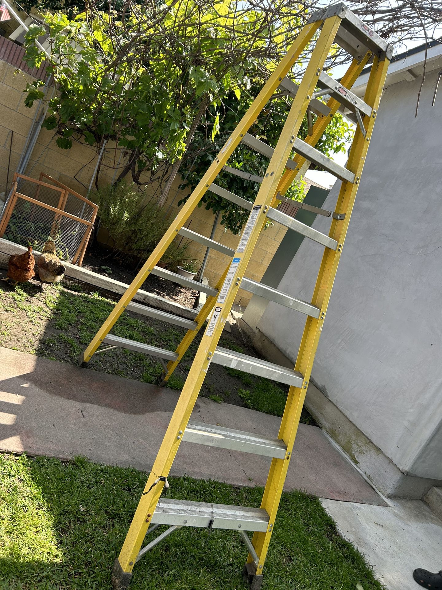 Ladder 8’ Feet Yellow 