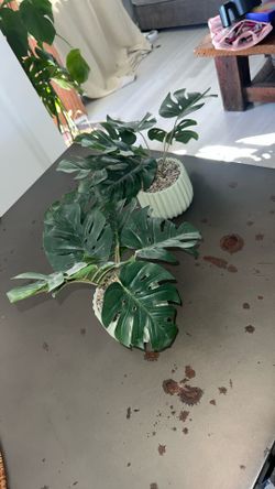 2 Fake Modern Potted Plants Monstera 