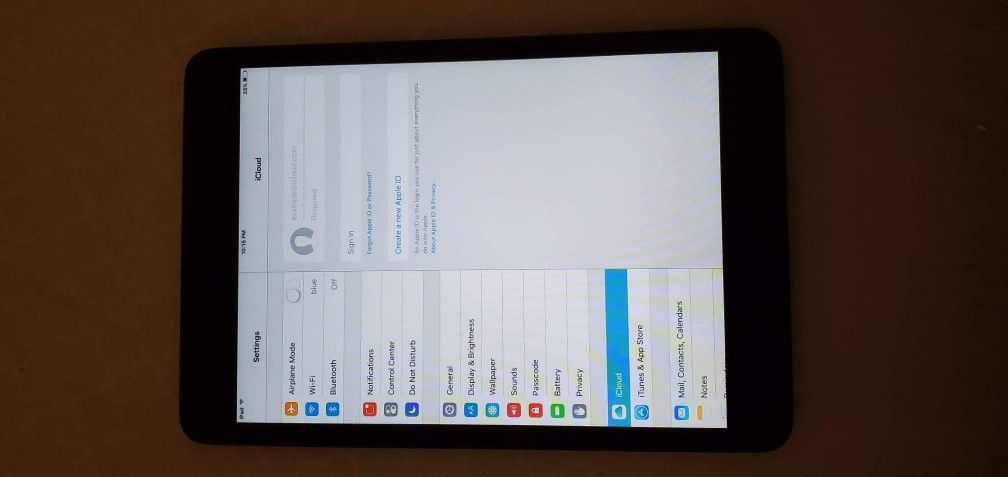 iPad Mini iCloud is Clean