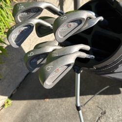 Ping Eye 2 Irons Orange Dot And Bag