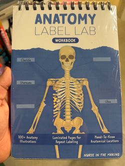 Anatomy Label Lab