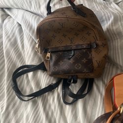 Mini Back Purse
