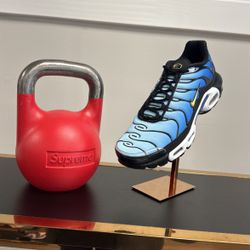 Nike Air Max Plus OG 