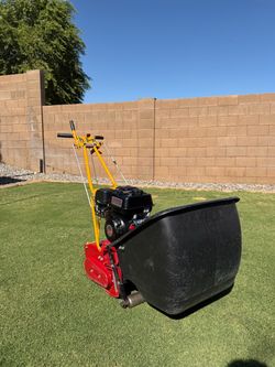 Mclane Reel Mower - Tiff Mower