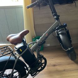 Electric Bike 