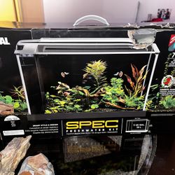 Fluval 5 gallon aquarium