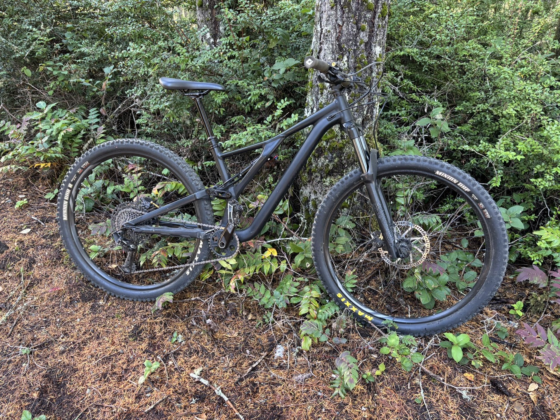 Specialized stumpjumper