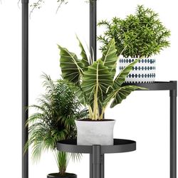 Plant Stand