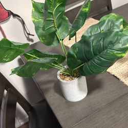 Fake Plant 