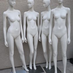 Women's Mannequin $150 Each
