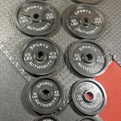 Vintage/Reconditioned Olympic  Weights Plates  SPORT AUTHORITY : 45s, 35s, 25s, 10s & 5s . Brute#240