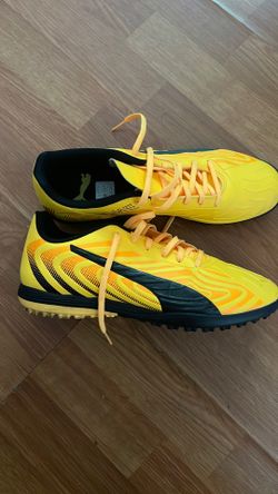 Indoor soccer puma
