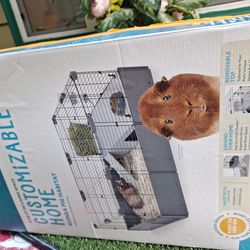 8sqft Guinea pig habitat