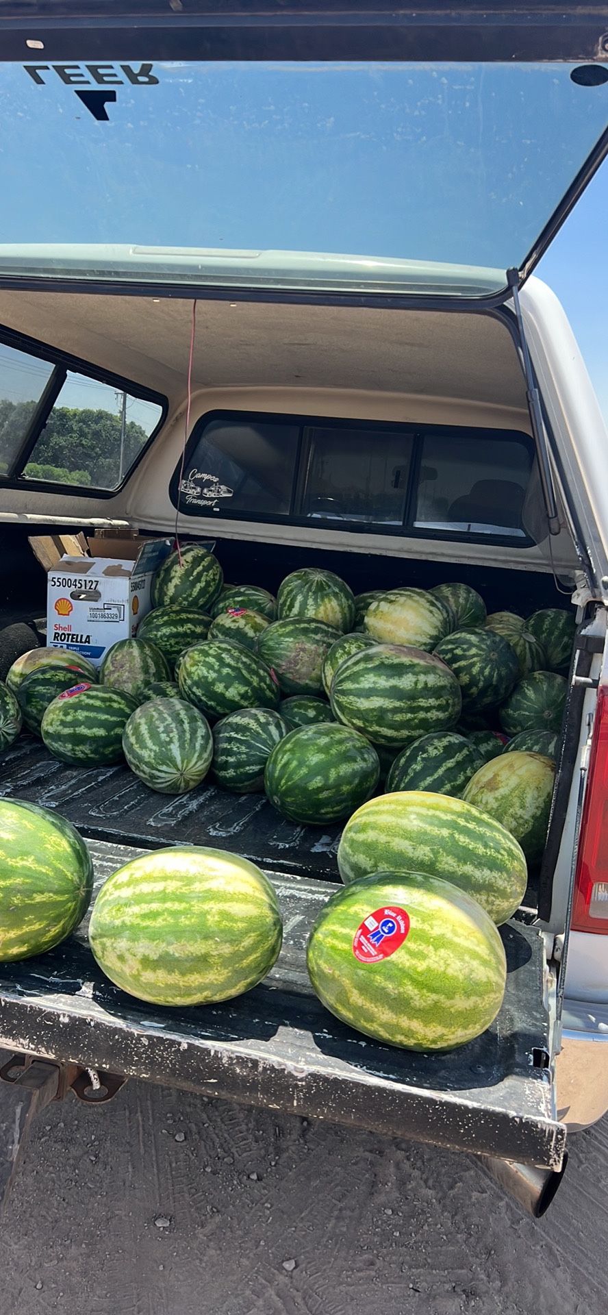 Watermelon 🍉