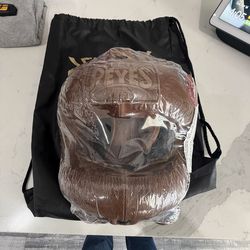 Cleto Reyes boxing head guard