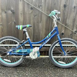Raleigh Kids Bike