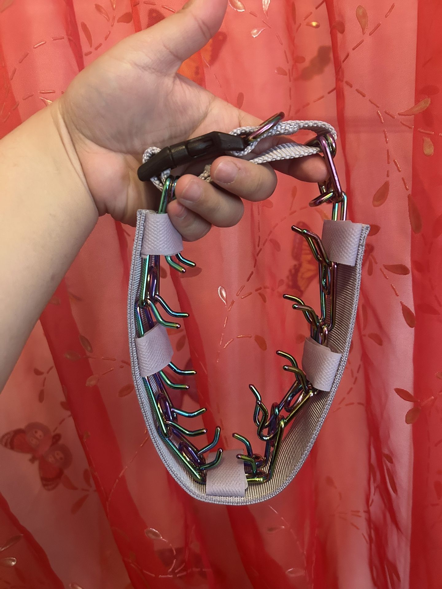 Dog Prong Collar And Slip Collar