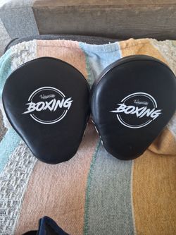 Boxing mitts